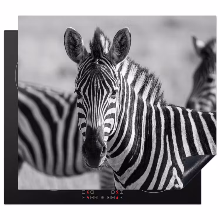 Protection plaque induction - Zèbres - Noirs - Blancs — 1