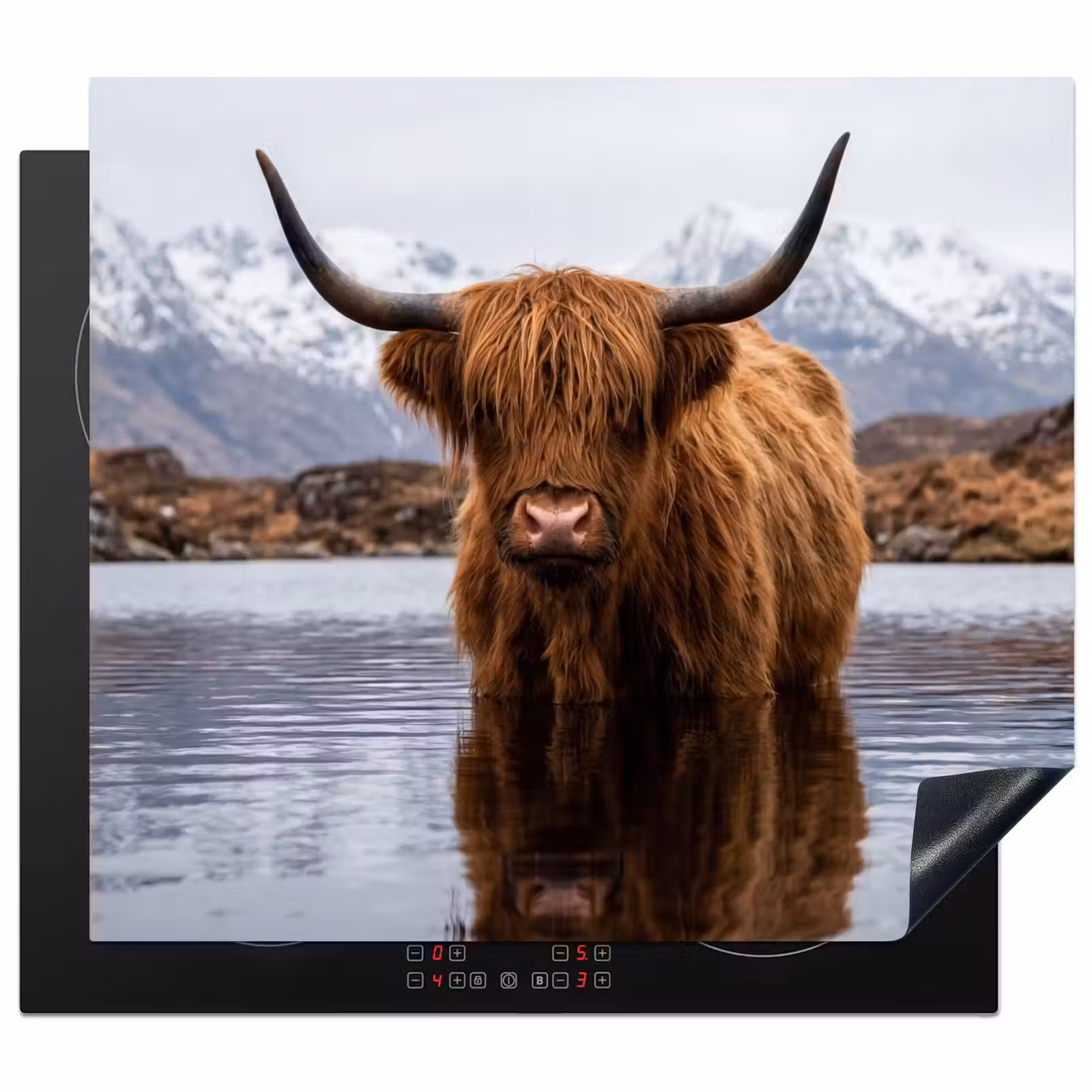 Protection plaque induction - Highlander écossais - Marron - Eau — 1