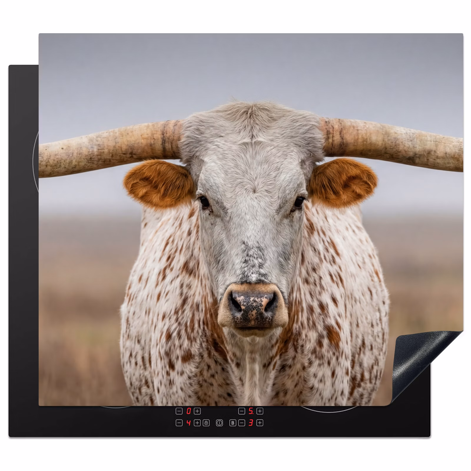 Protection plaque induction - Longhorn - Champ d'herbe - Animal — 1