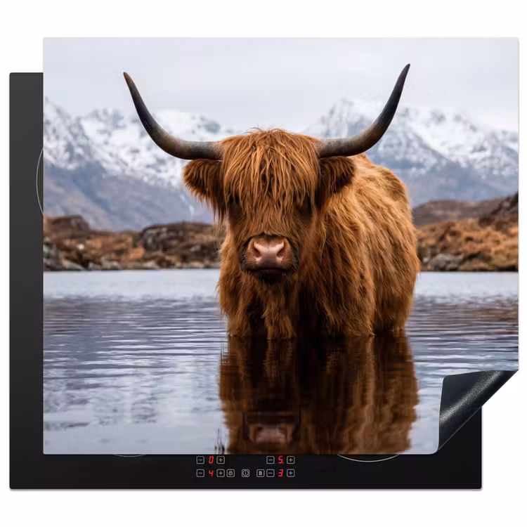 Protection plaque induction - Highlander écossais - Marron - Eau — 1