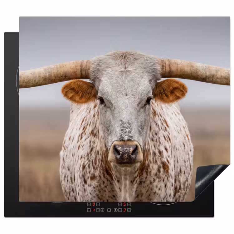 Protection plaque induction - Longhorn - Champ d'herbe - Animal — 1