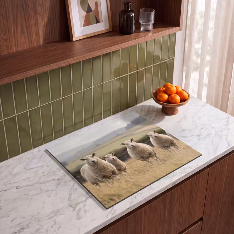 Protection plaque induction - Ovins - Paysage de pâturage - Collines — 4