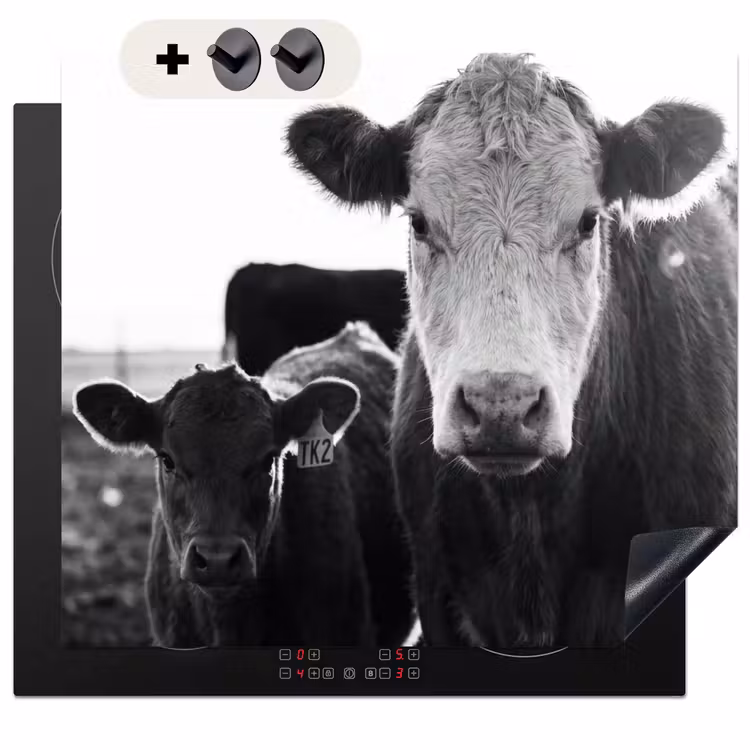 Protection à induction avec crochets - Vaches - Noir et blanc — 3