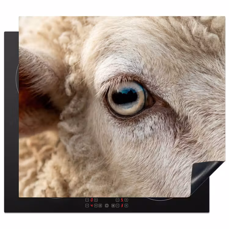 Protection plaque induction - Mouton - Oeil - Blanc — 1