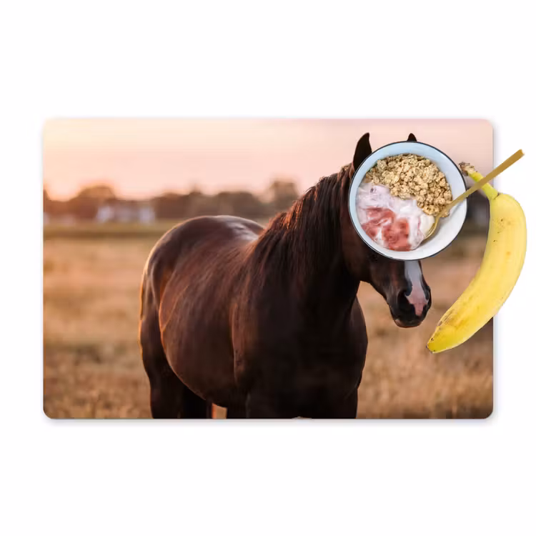 Set de table – 6 pièces - Cheval - Coucher de soleil - Marron — 1