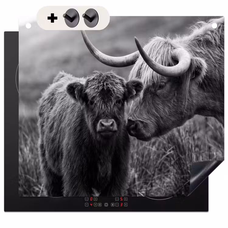 Protection à induction avec crochets - Highlander écossais - Veau - Noir - Blanc — 3