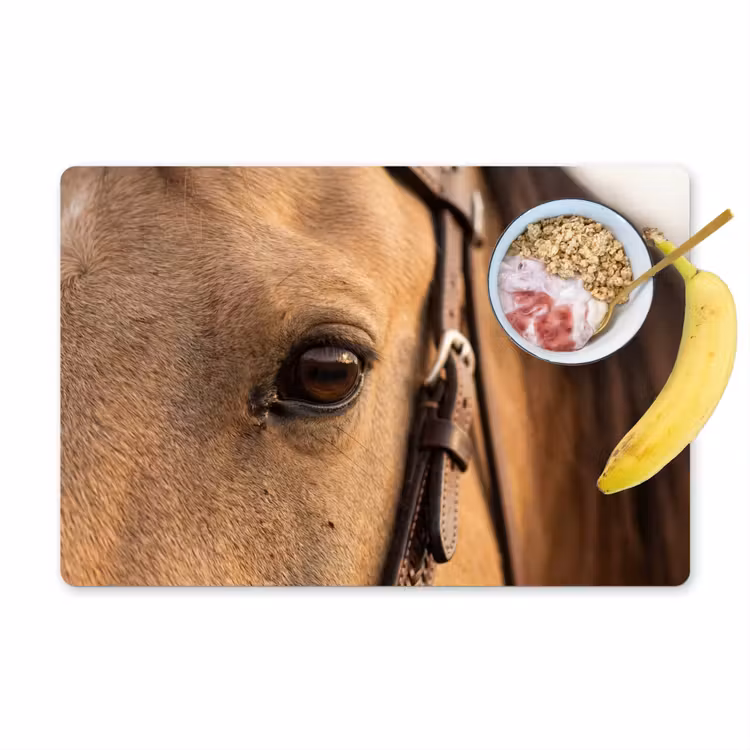 Set de table – 6 pièces - Cheval - Oeil - Marron — 1