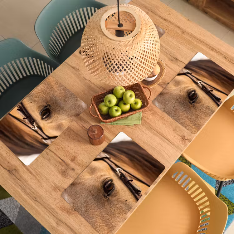 Set de table – 6 pièces - Cheval - Oeil - Marron — 3