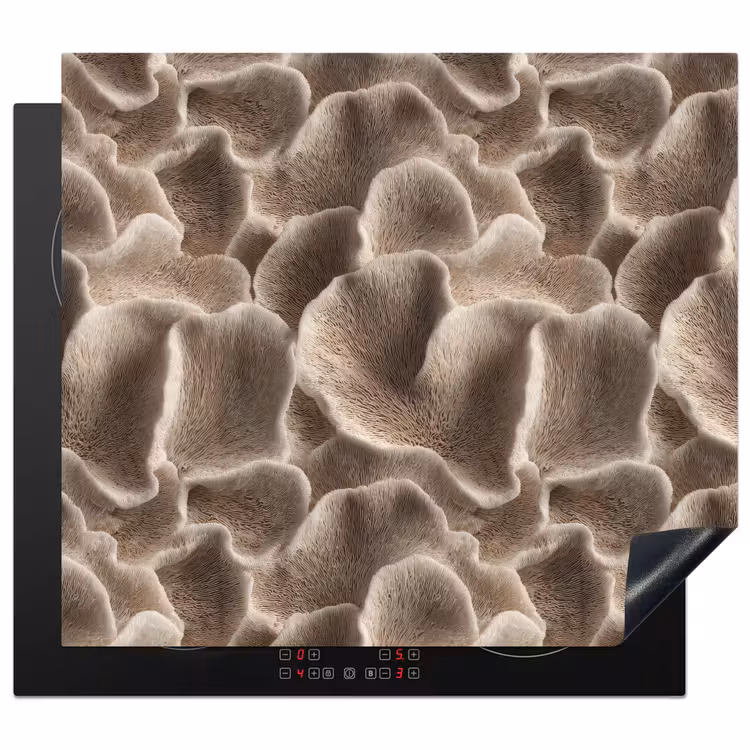 Protection plaque induction - Forme éventail - Beige - Texture fibre — 1