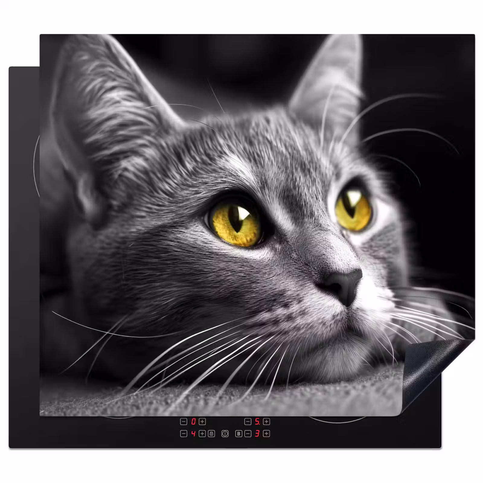 Protection plaque induction - Chat - Gris - Animaux - Chat — 1