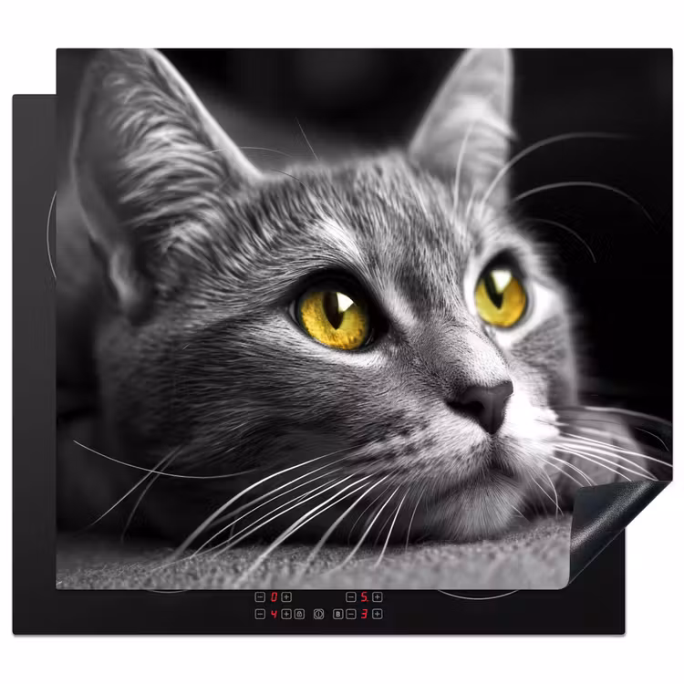 Protection plaque induction - Chat - Gris - Animaux - Chat — 1