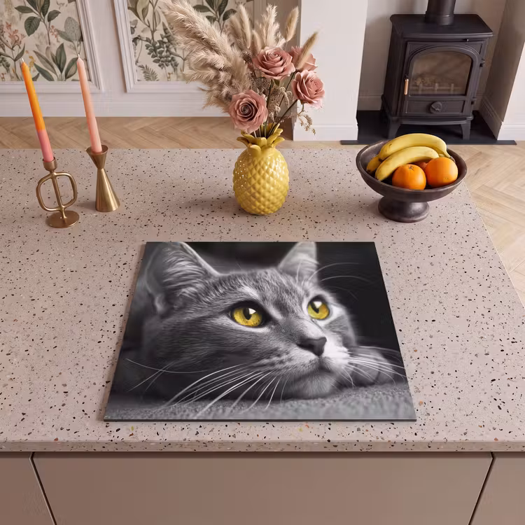 Protection plaque induction - Chat - Gris - Animaux - Chat — 3