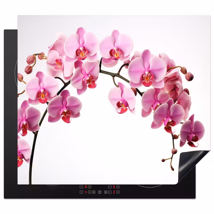 Protection plaque induction - Fleurs - Rose - Branche - Blanc — 1