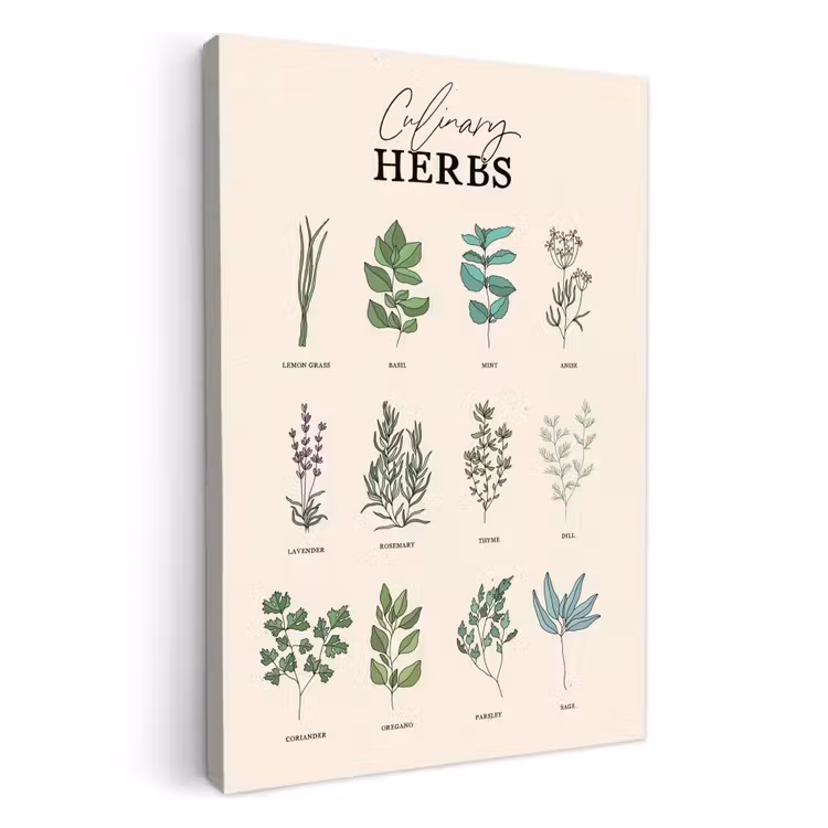 Tableau sur toile - Plantes - Cuisine - Herbes — 1
