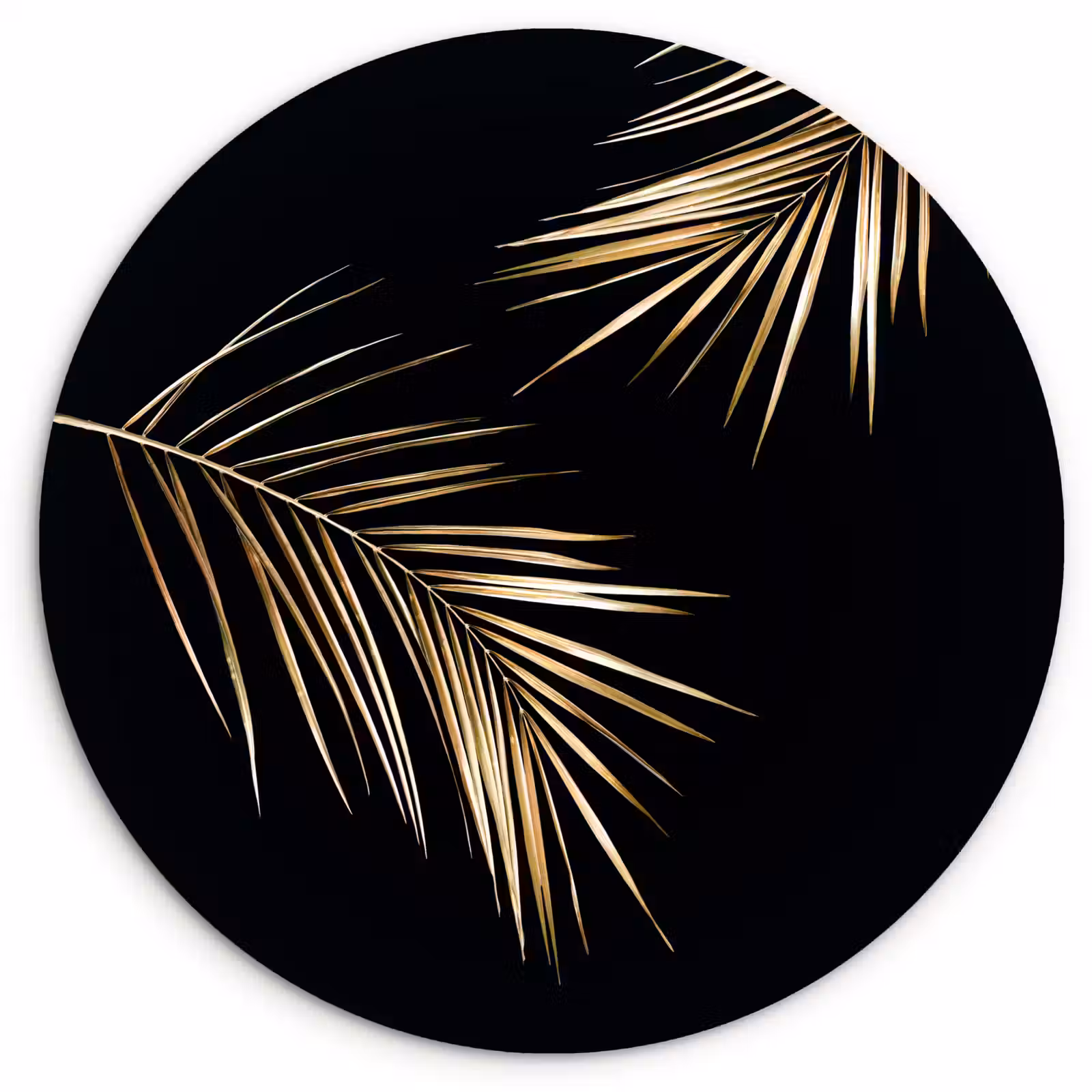 Tableau rond - Branches de palmier d'or — 1