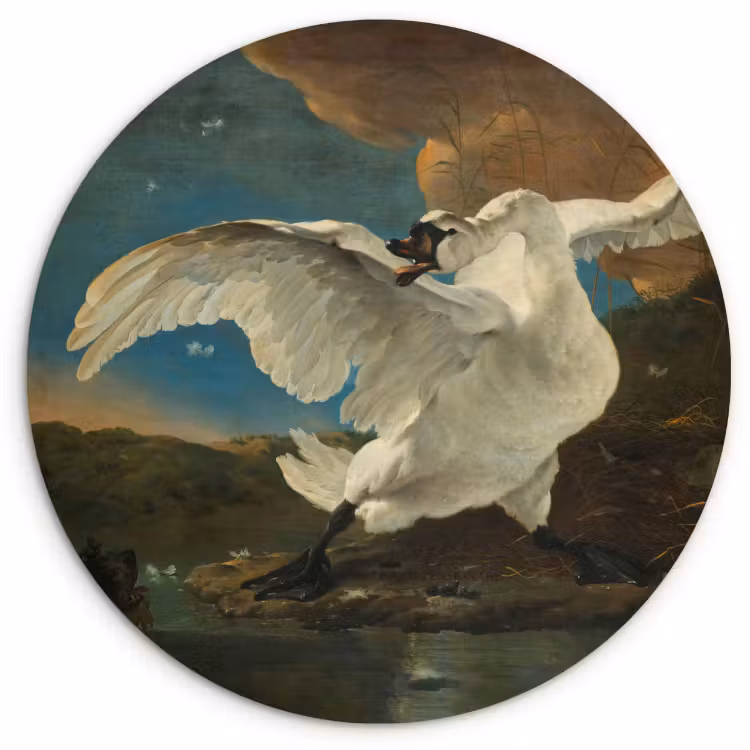 Tableau rond - Le cygne en danger — 1