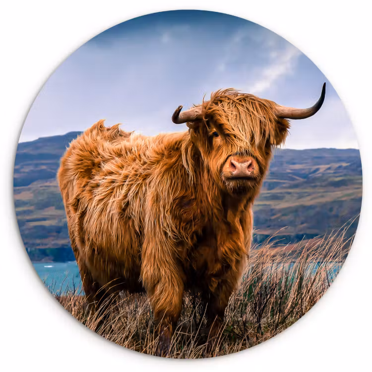 Tableau rond - Le seigneur des Highlands — 1