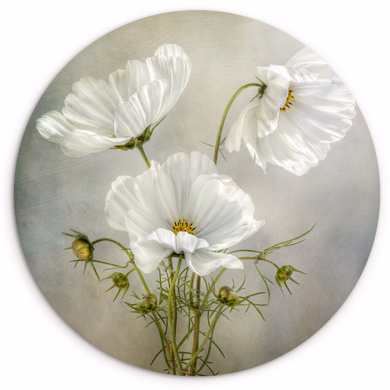 Tableau rond - La simplicité à l'état pur — 1