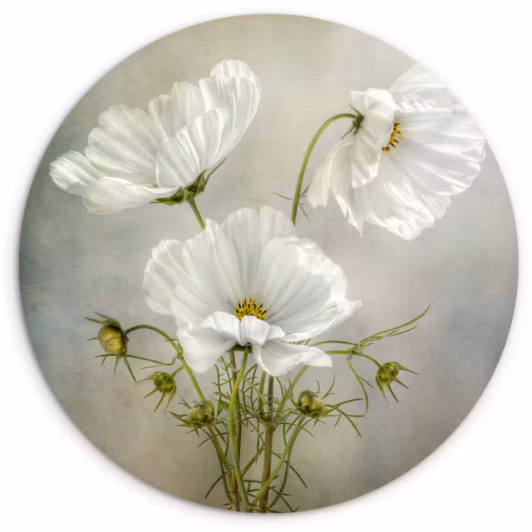 Tableau rond - La simplicité à l'état pur — 1