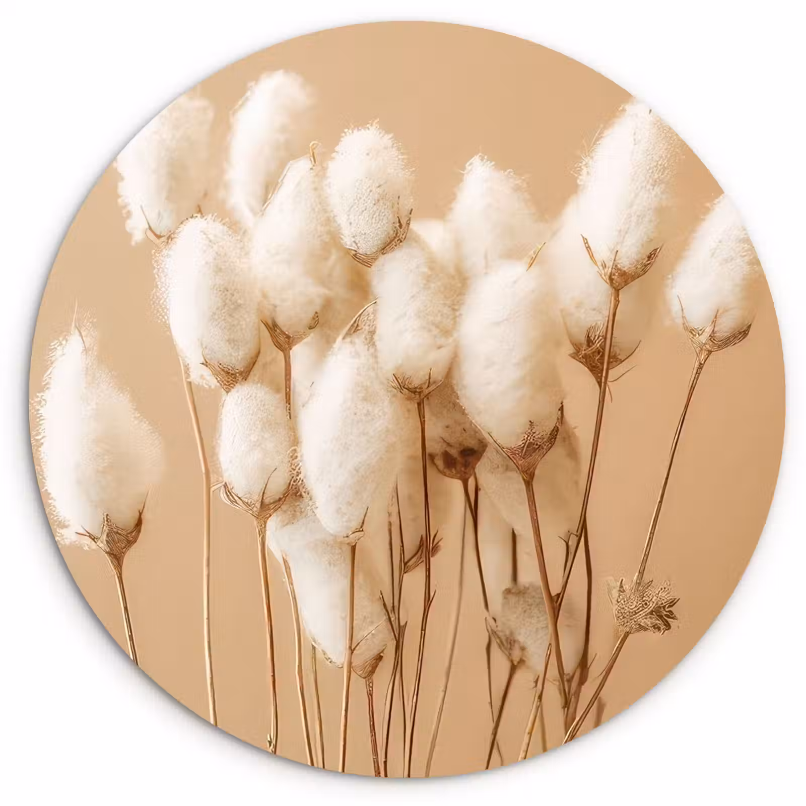 Tableau rond - Coton doux — 1