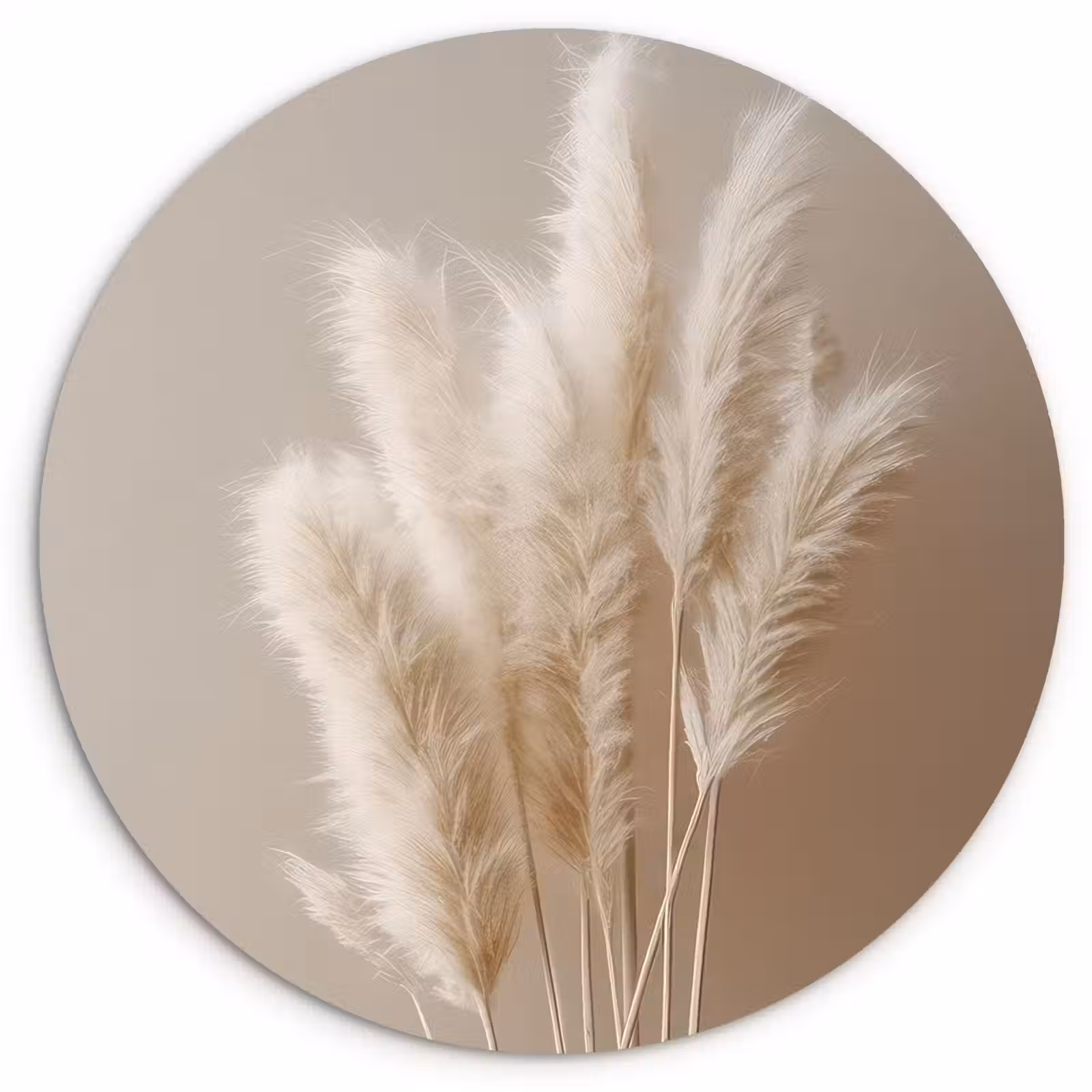 Tableau rond - Plumes douces — 1