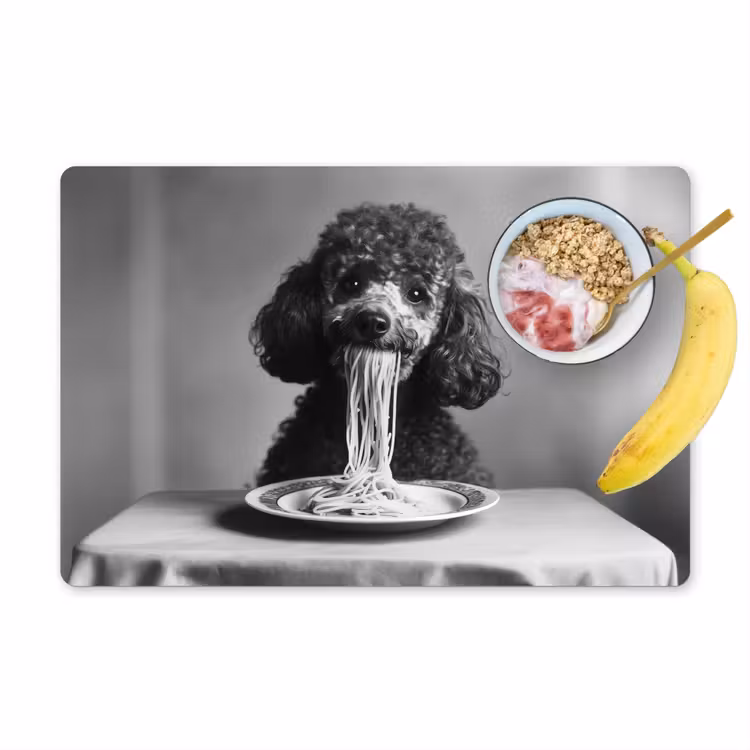 Sets de table - Caniche - Chien - Noir - Blanc - Mignon - Pâtes — 1
