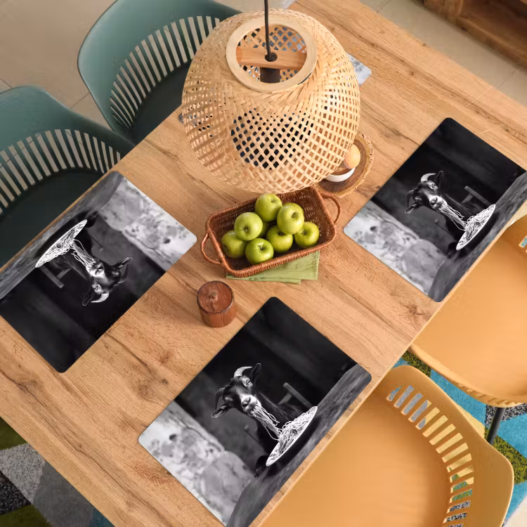 Sets de table - Chèvre - Assiette - Spaghetti - Noir et blanc — 3
