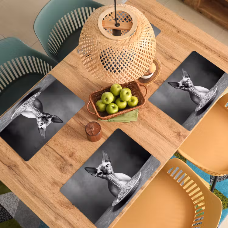 Sets de table - Sphynx - Chat - Animaux - Humour - Spaghetti - Noir et blanc — 3