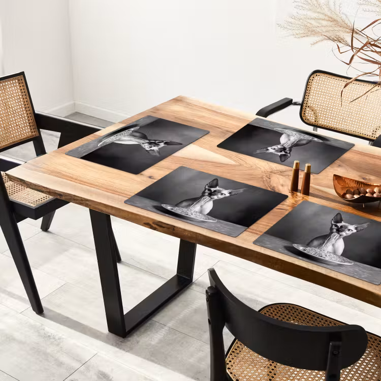 Sets de table - Sphynx - Chat - Animaux - Humour - Spaghetti - Noir et blanc — 4