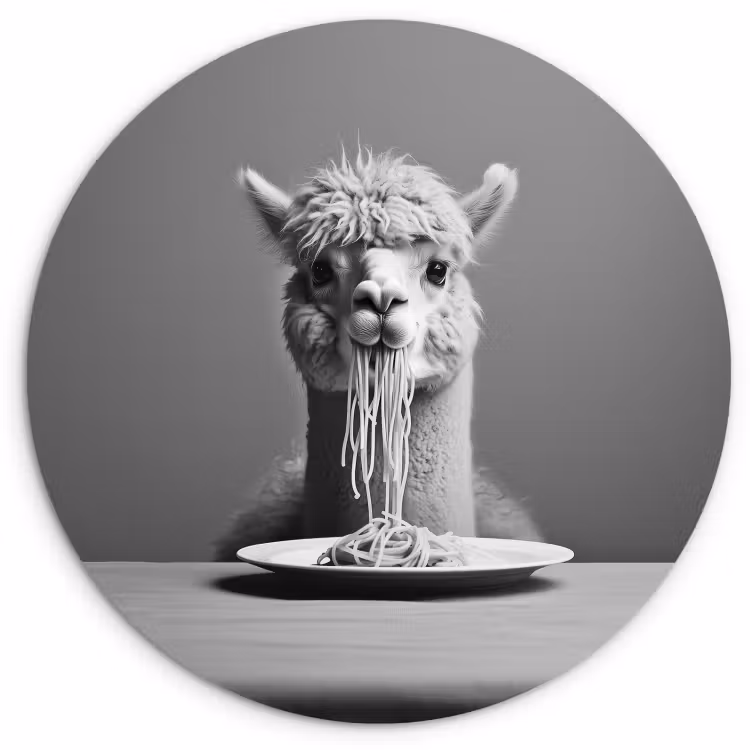 Tableau rond - Alpaga - Pâtes - Noir - Blanc - Drôle - Animaux — 3