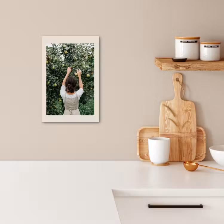 Tableau sur toile - Arbre - Pommes - Cueillette - Nature — 2