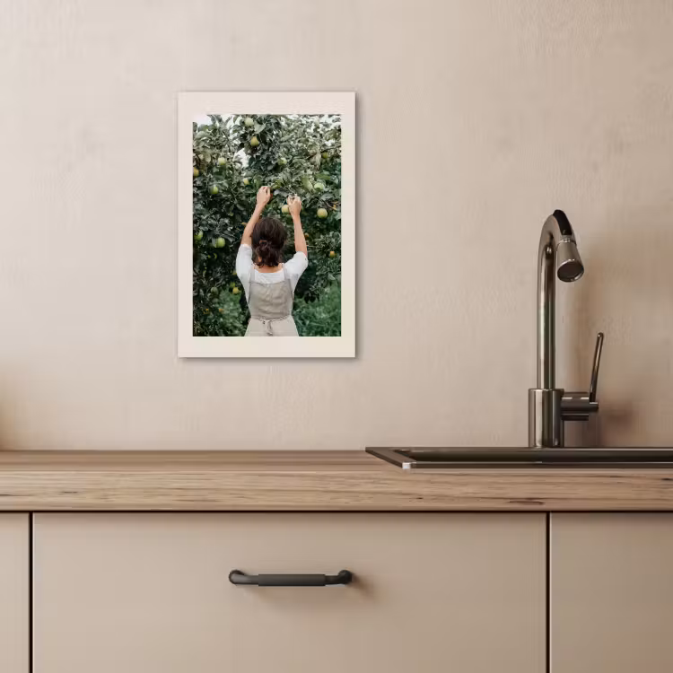 Tableau sur toile - Arbre - Pommes - Cueillette - Nature — 3