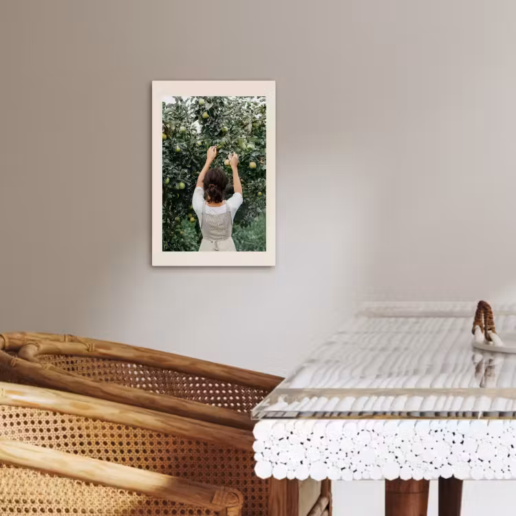 Tableau sur toile - Arbre - Pommes - Cueillette - Nature — 4