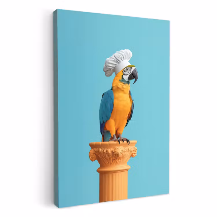 Tableau sur toile - Perroquet - Toque - Drôle - Oiseau — 1