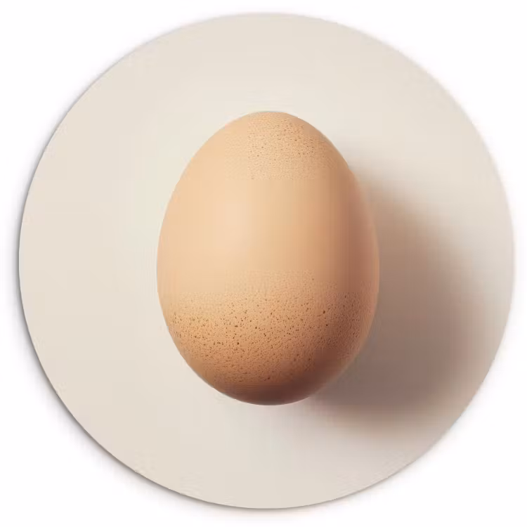 Tableau rond - Œuf - Beige - Ovale - Ovale — 2