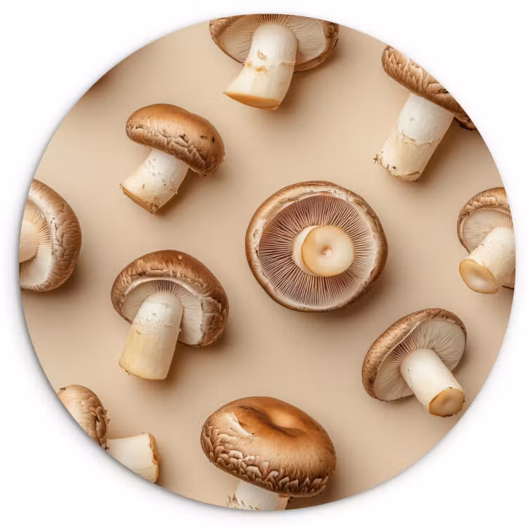 Tableau rond - Champignons de châtaigne - Beige — 3