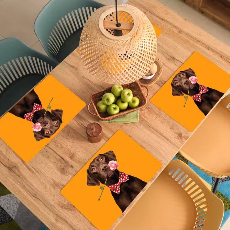 Sets de table - Chien - Orange - Rose - Valentin — 3