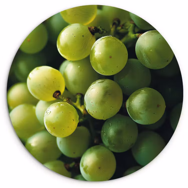 Tableau rond - Raisins - Grappe - Vert — 3