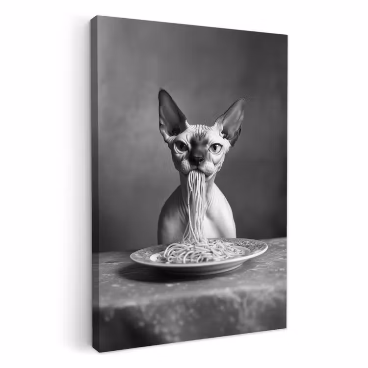 Tableau sur toile - Sphynx - Chat - Animaux - Humour - Spaghetti - Noir et blanc — 1