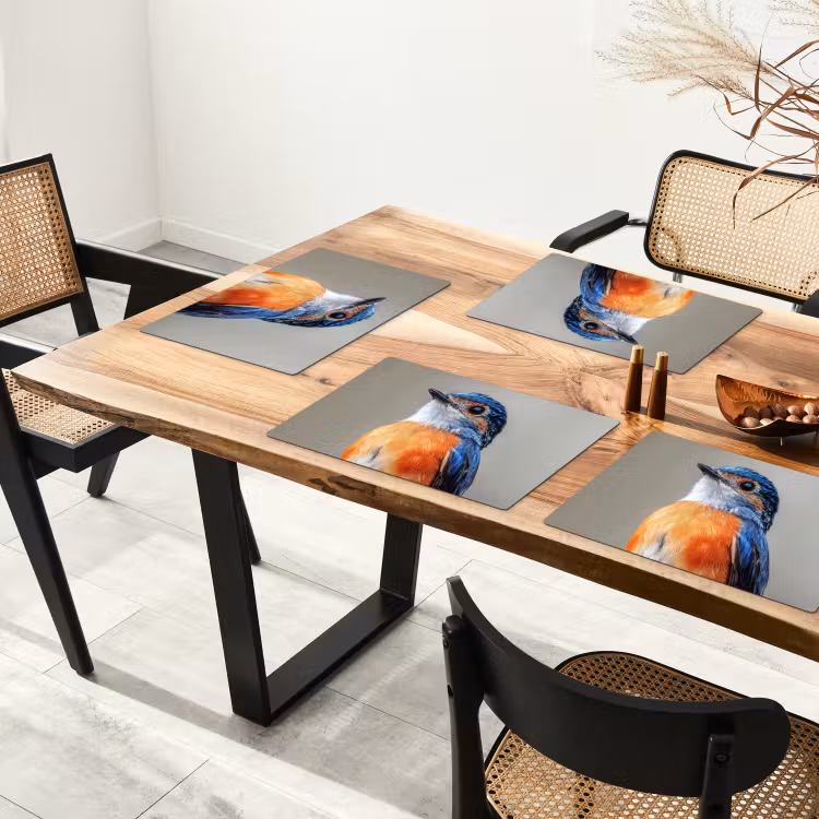 Sets de table en vinyle - Coloré - Oiseau - Plumes - Bleu — 4
