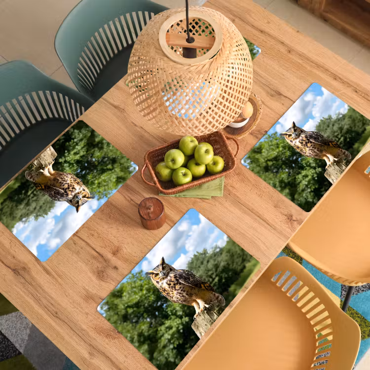 Sets de table en vinyle - Hibou - Tronc d'arbre - Forêt - Ciel — 3