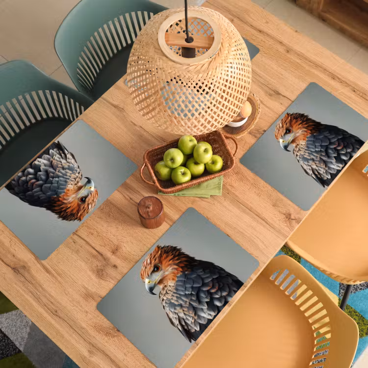 Sets de table en vinyle - Oiseau - Réaliste - Plumes - Marron — 3