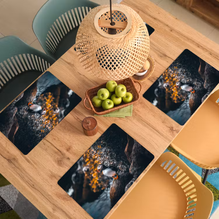 Sets de table en vinyle - Perroquet - Oiseau - Roche - Blanc — 3