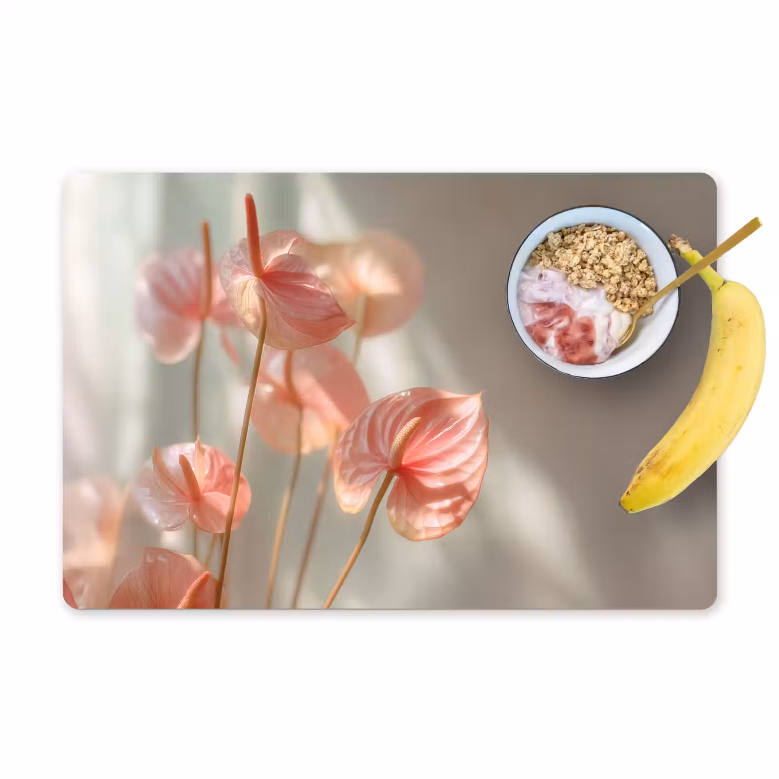 Sets de table en vinyle - Fleurs - Tiges - Rose - Ombre — 1