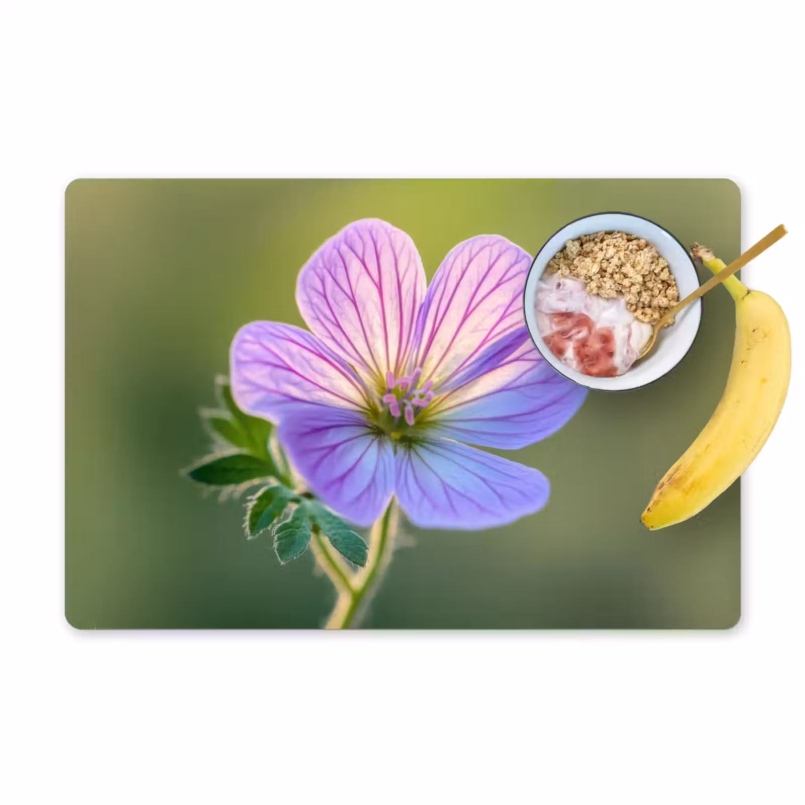 Sets de table en vinyle - Fleur - Gros plan - Violet — 1