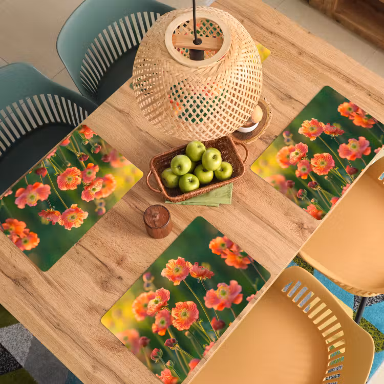 Sets de table en vinyle - Champ de fleurs - Rayons de soleil - Orange — 3