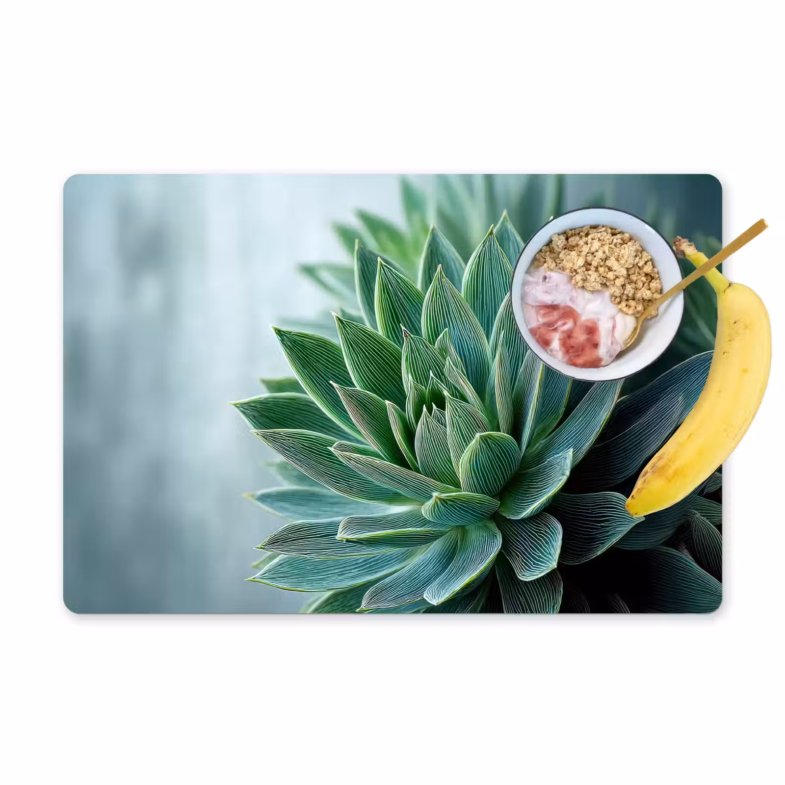 Sets de table en vinyle - Succulente - Feuilles - Vert - Flou — 1