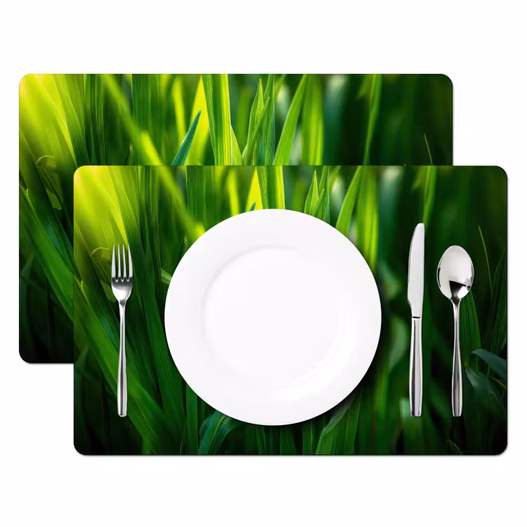 Sets de table en vinyle - Lames d'herbe - Léger - Vert — 2