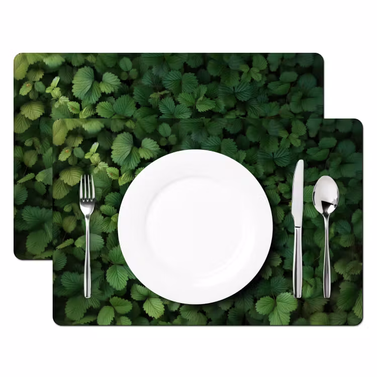 Sets de table en vinyle - Vert - feuille - dentelé - soleil — 2