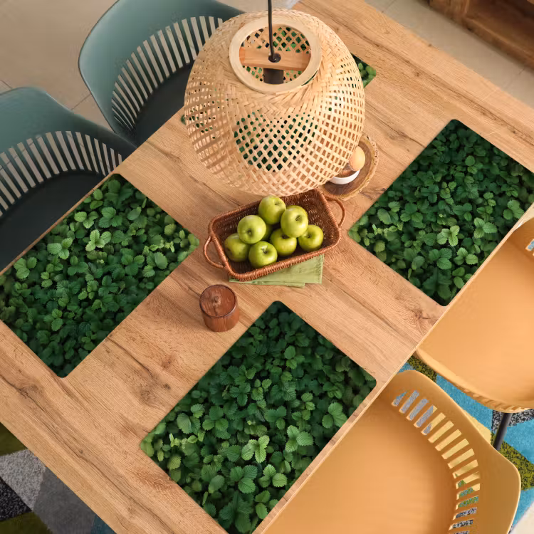 Sets de table en vinyle - Vert - feuille - dentelé - soleil — 3